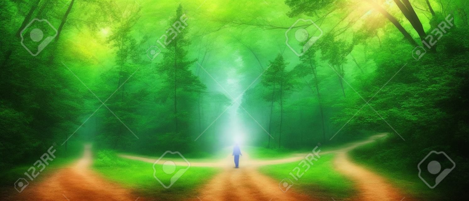 A woman stands at the crossroads of two forest roads. The girl at the crossroads. The choice of the path. Woman lost in the woods. The choice of ways to achieve the goal.