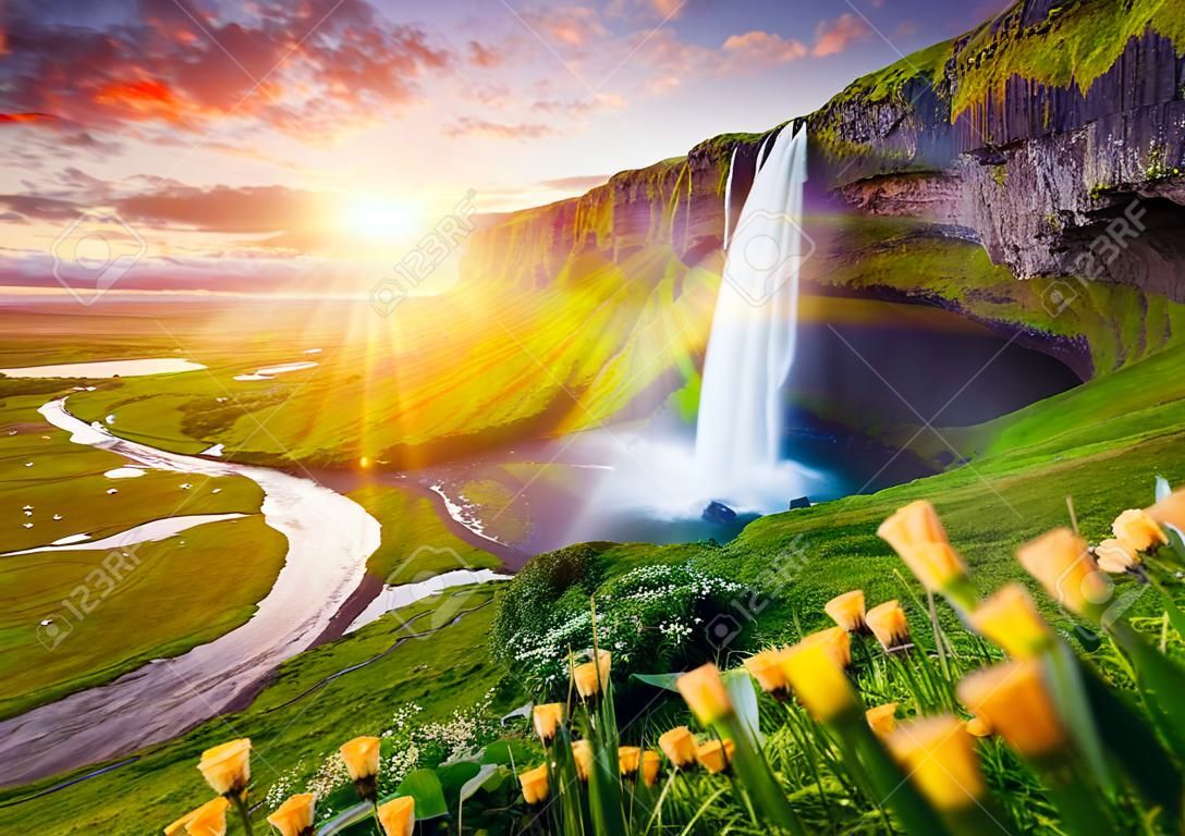 Por do sol incrível em Seljalandsfoss. Uma das cachoeiras mais bonitas na Islândia, Europa. Atração turística popular e famosa destino de férias de verão no sul da Islândia. Cartão postal de viagem
