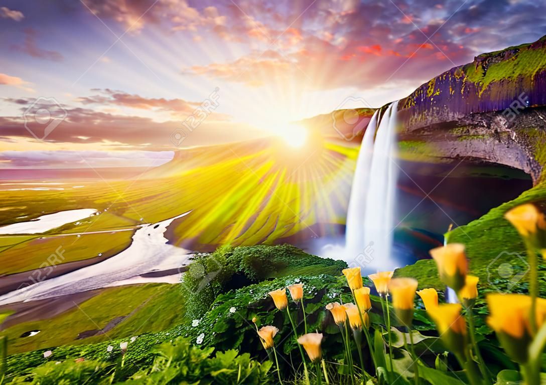 Por do sol incrível em Seljalandsfoss. Uma das cachoeiras mais bonitas na Islândia, Europa. Atração turística popular e famosa destino de férias de verão no sul da Islândia. Cartão postal de viagem