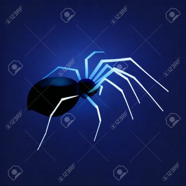 Stock vector illustration spider isolated on a transparent background. EPS 10