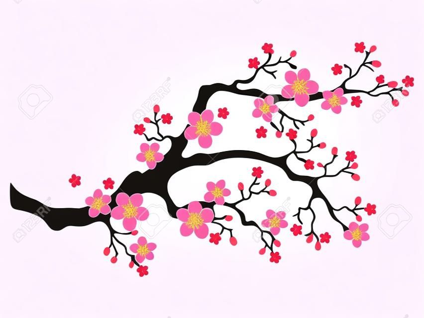 Fleurs de cerisier Sakura. Branche de fleur de cerisier rose, fleur de pêche, branche de sakura. Nature asiatique en fleurs. Illustration vectorielle.
