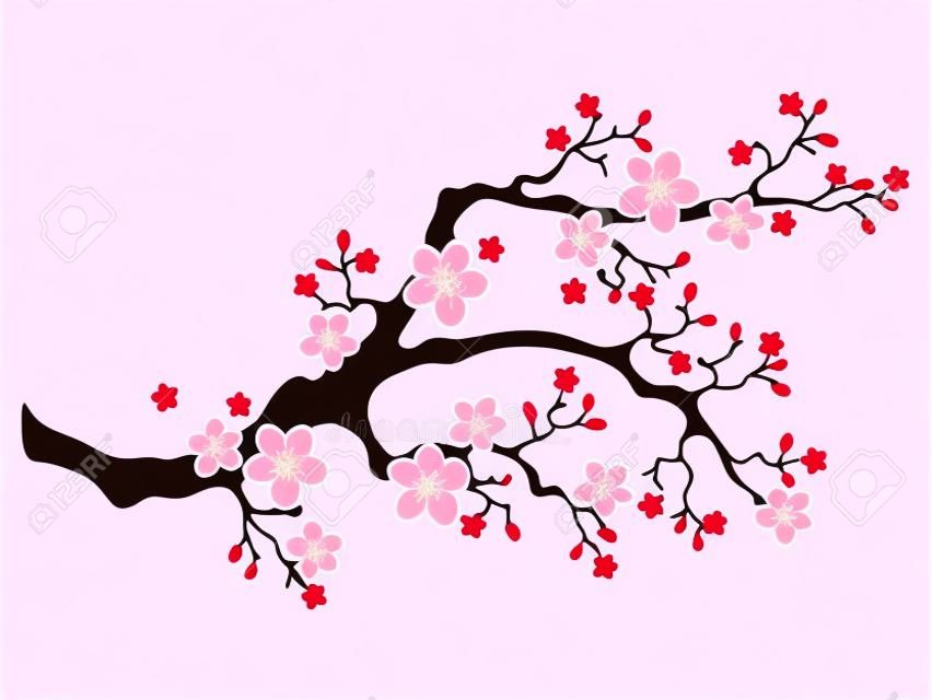 Sakura fiori di ciliegio. Ramo di fiori di ciliegio rosa, fioritura di pesche, ramo di sakura. Natura asiatica in fiore. Illustrazione vettoriale.