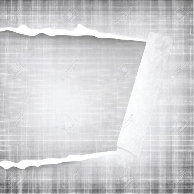 transparent ripped paper, layered and editable, background for your image or photo