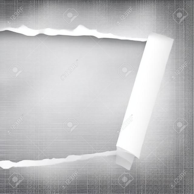 transparent ripped paper, layered and editable, background for your image or photo