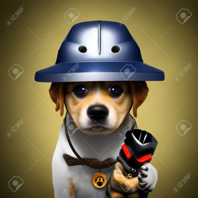 Lindo perro fresco cachorro aventurero explorador con casco de pozo y antiguo tótem ídolo símbolo divertido imagen conceptual