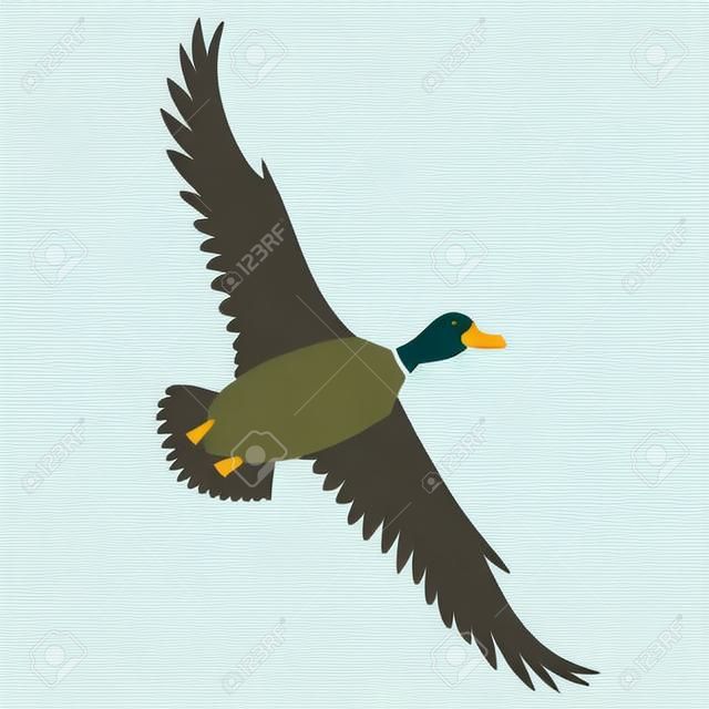 duck flying flat design on white background isolated, vector