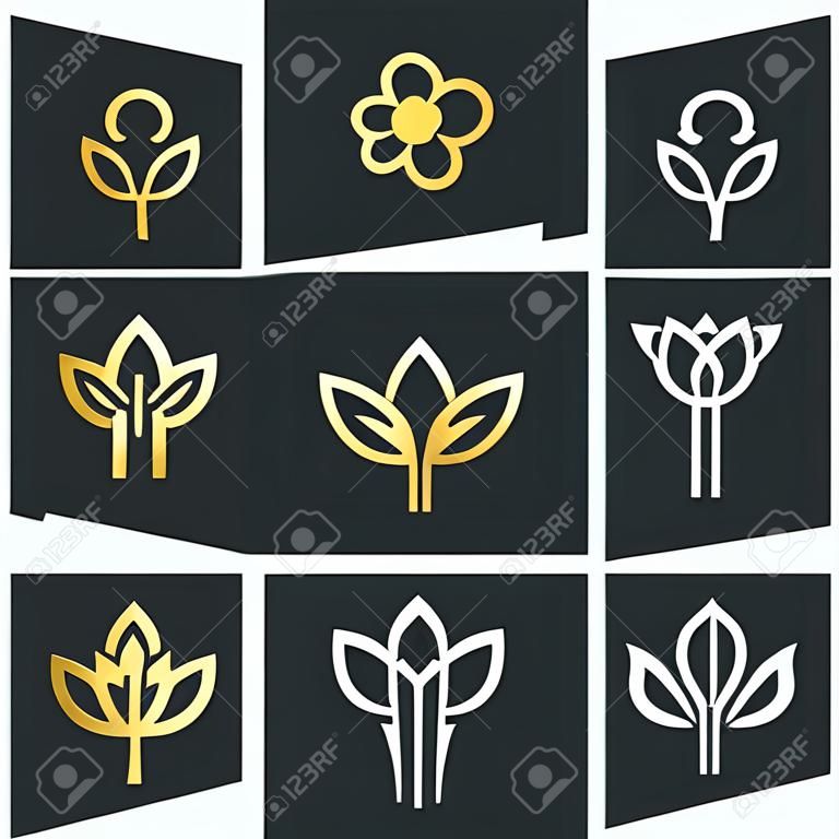 矢量线花象征金色的形状和单色抽象花徽章设计理念的标志标识图标