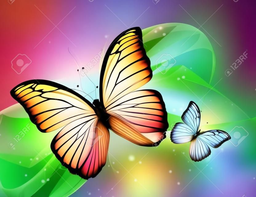 two elegant beautiful butterflys on a light background