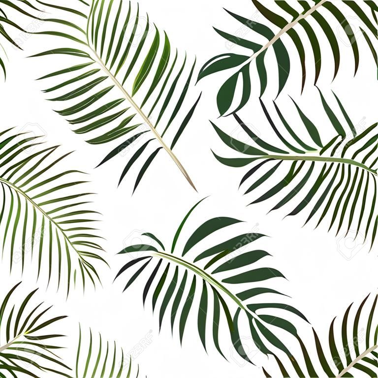 Seamless hand drawn tropical pattern with palm leaves, jungle exotic leaf on white background. Fashion textile print, summer floral wallpaper. Vector illustration, botanical drawing