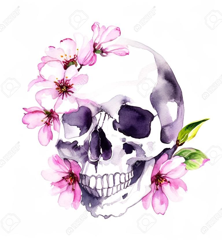 Cráneo humano, flor de cerezo rosa, flores primaverales de sakura. Acuarela