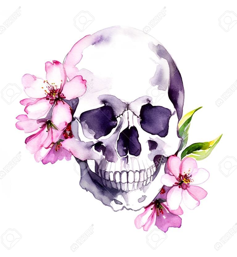 Ludzka czaszka, różowy kwiat wiśni, wiosenne kwiaty sakury. akwarela